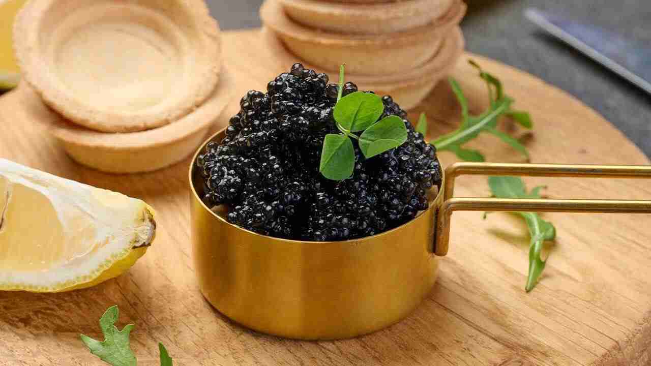 Perfect Pairings: The Best Wine and Regional Dishes for Special Occasions