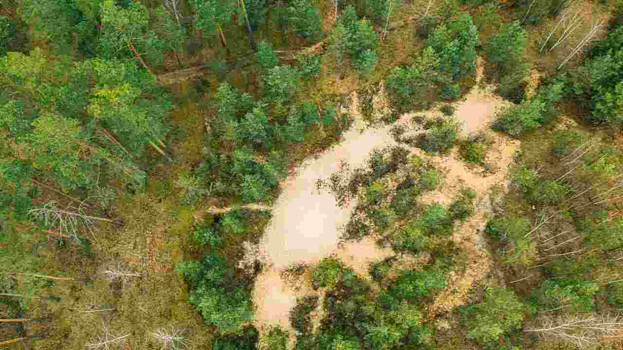 Plant-Based Eating: How Your Diet Can Help Save the Planet